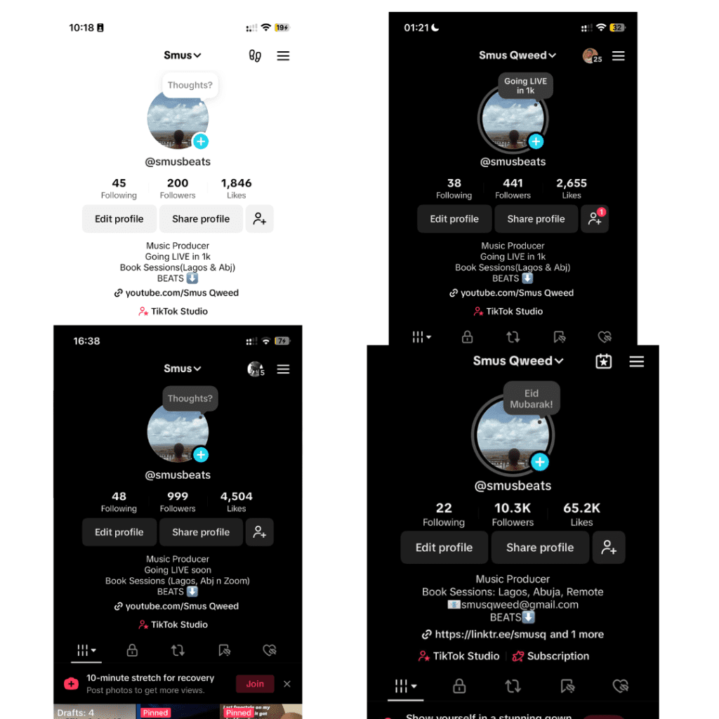 Case study proof of TikTok performance improvement