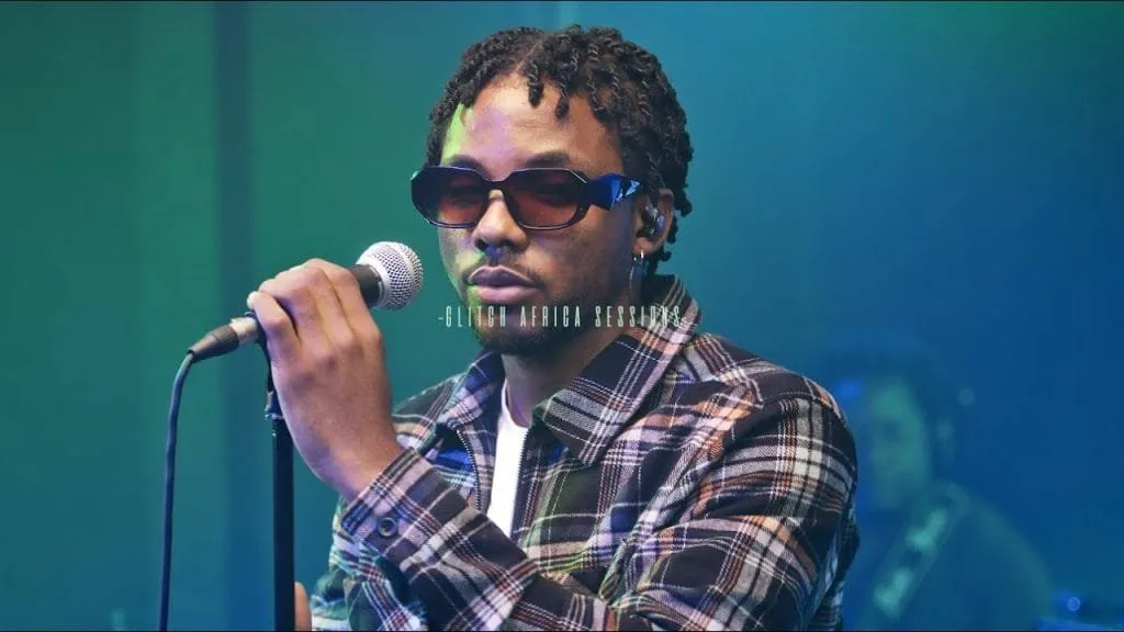 Sane Records music marketing: Nelsane performing live