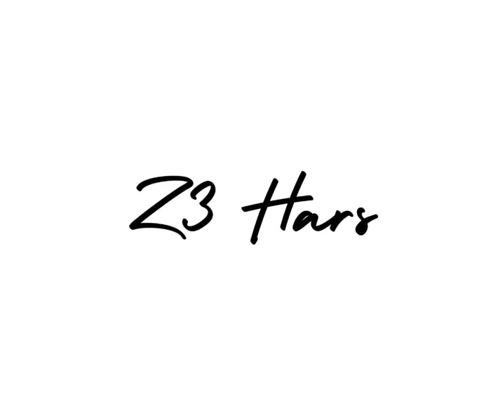Z3 Hairs logo, an e-commerce website development project