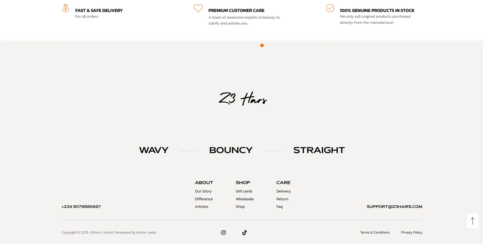 Z3 Hairs website footer
